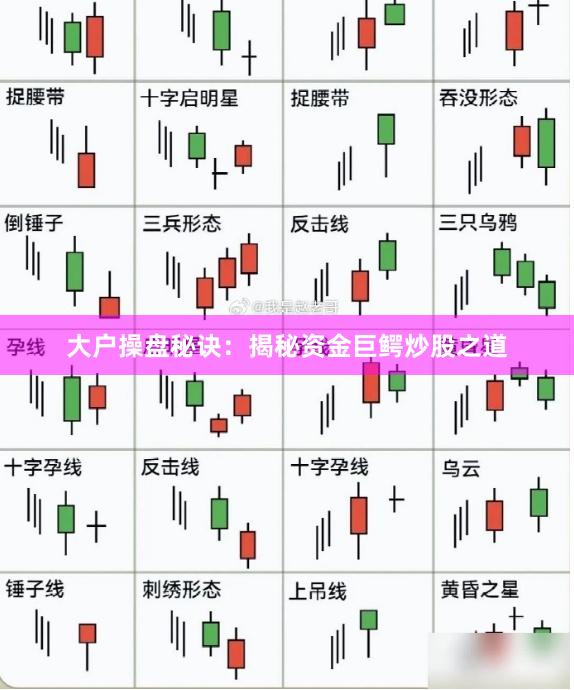 大户操盘秘诀：揭秘资金巨鳄炒股之道